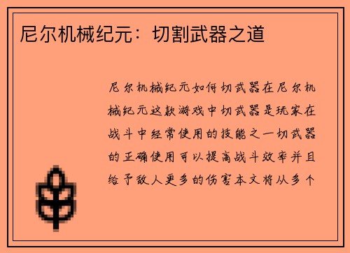 尼尔机械纪元：切割武器之道